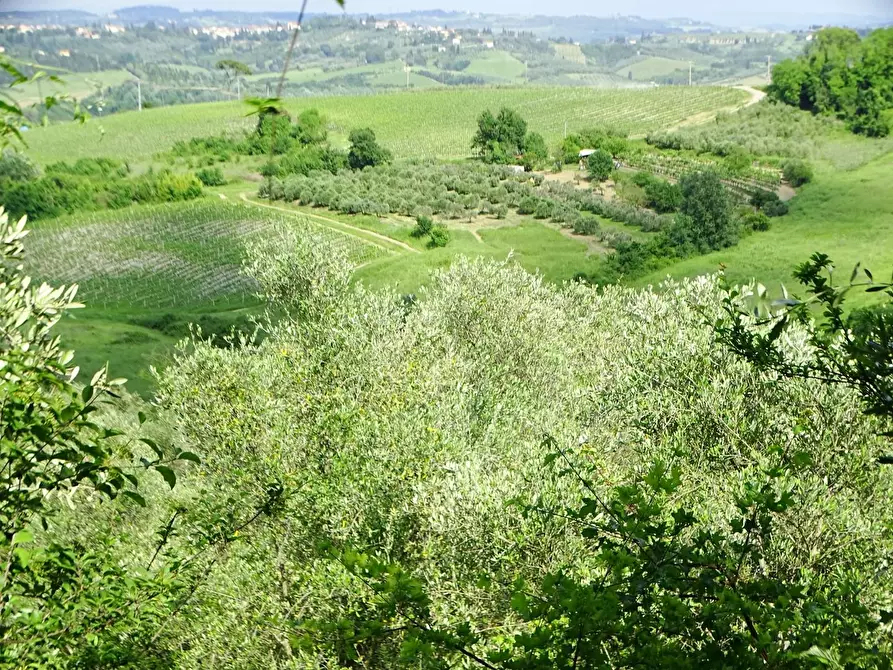 Immagine 15 di Terreno agricolo in vendita  a San Miniato