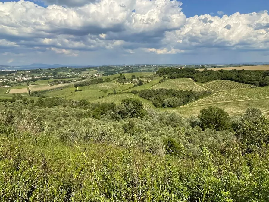 Immagine 1 di Terreno agricolo in vendita  a San Miniato