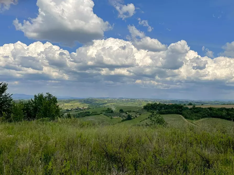 Immagine 21 di Terreno agricolo in vendita  a San Miniato