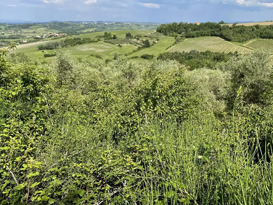 Immagine 2 di Terreno agricolo in vendita  a San Miniato