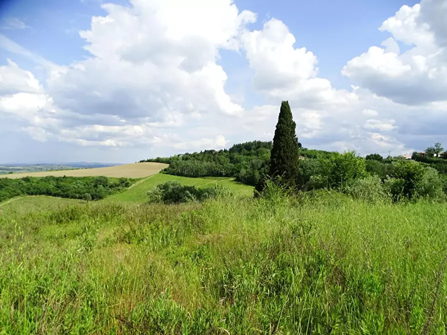 Immagine 20 di Terreno agricolo in vendita  a San Miniato