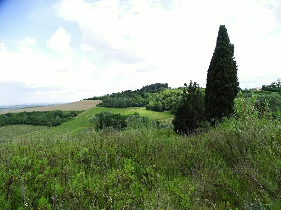 Immagine 3 di Terreno agricolo in vendita  a San Miniato