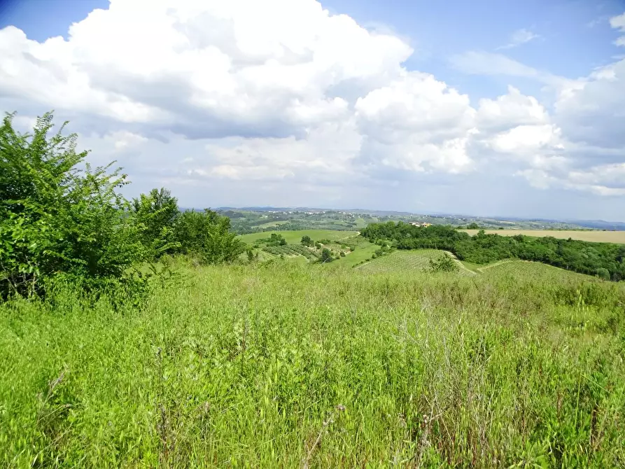 Immagine 19 di Terreno agricolo in vendita  a San Miniato