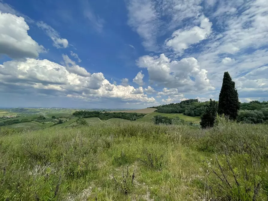 Immagine 23 di Terreno agricolo in vendita  a San Miniato