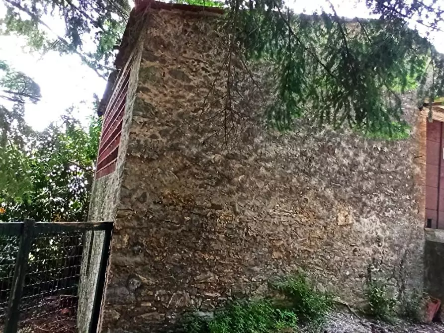 Immagine 4 di Rustico / casale in vendita  a Pescaglia