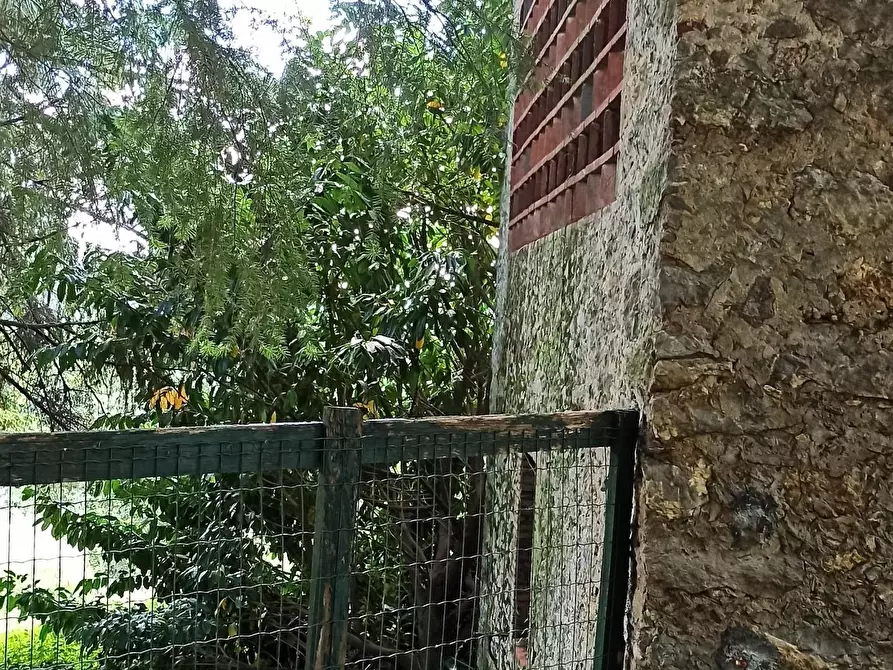 Immagine 3 di Rustico / casale in vendita  a Pescaglia