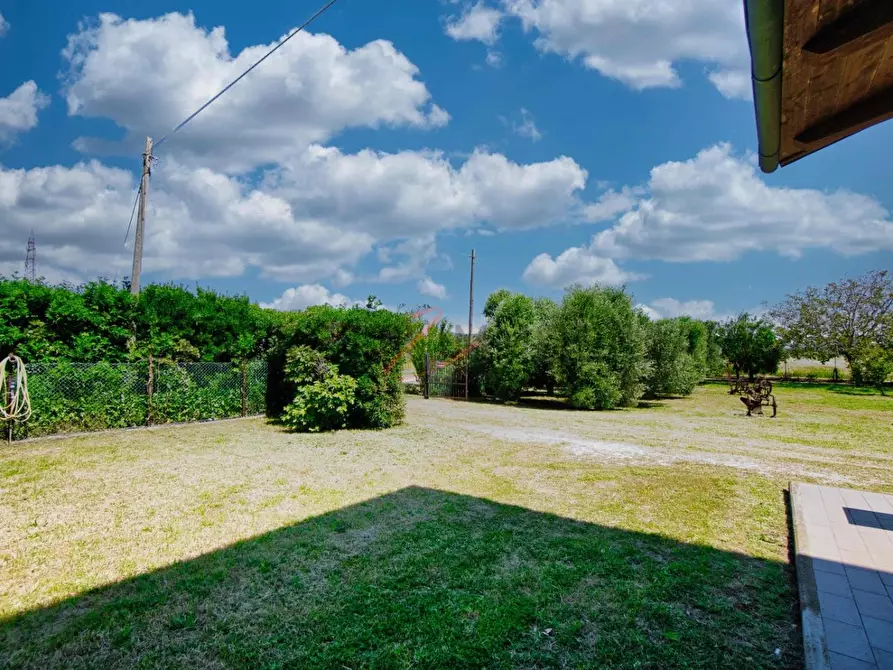 Immagine 24 di Porzione di casa in vendita  a Campiglia Marittima