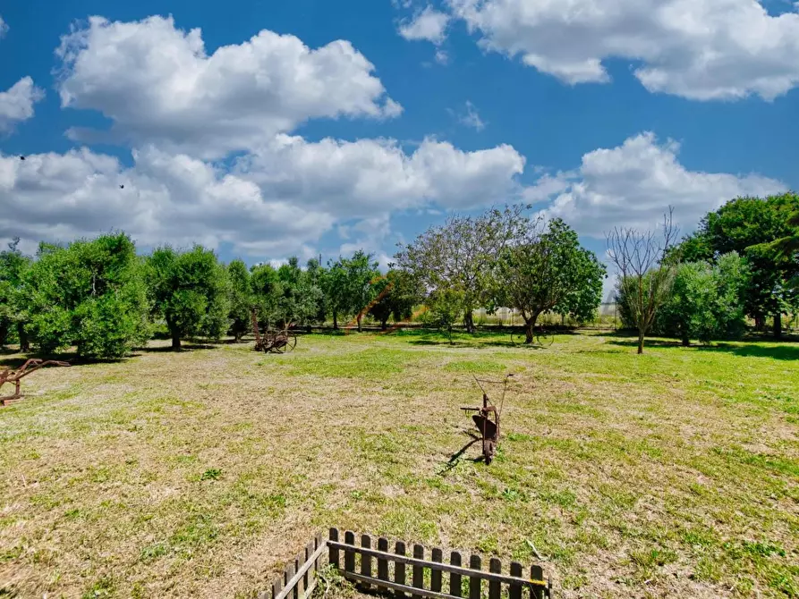 Immagine 28 di Porzione di casa in vendita  a Campiglia Marittima