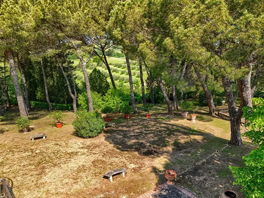 Immagine 13 di Casa colonica in vendita  a Gambassi Terme