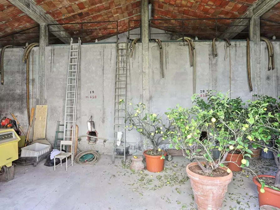 Immagine 23 di Azienda agricola in vendita  a Gambassi Terme