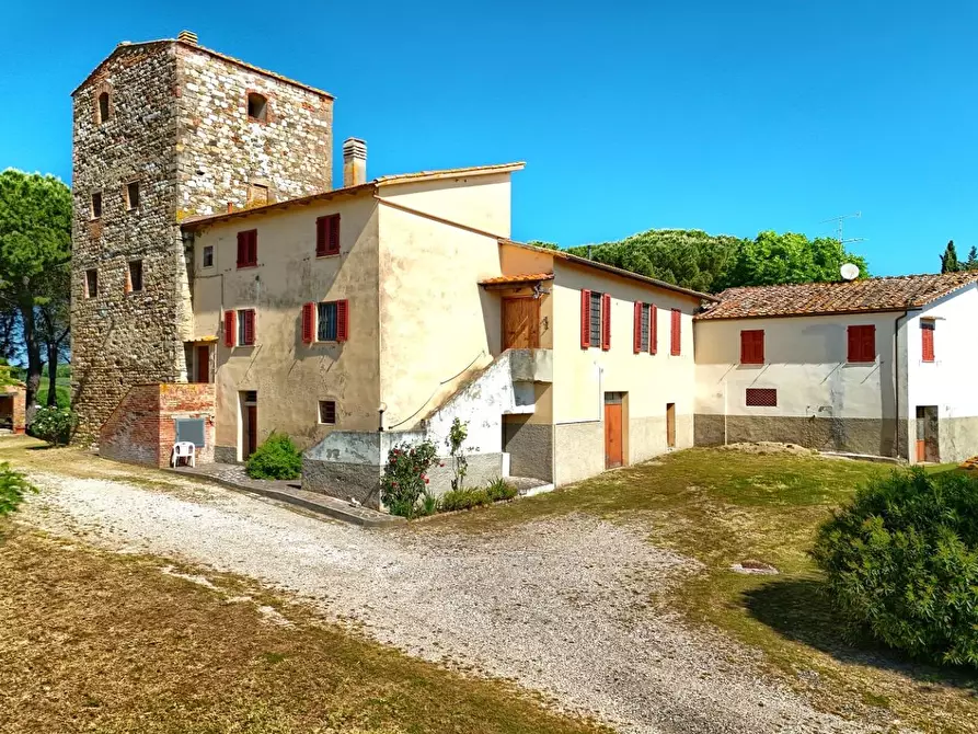 Immagine 8 di Azienda agricola in vendita  a Gambassi Terme