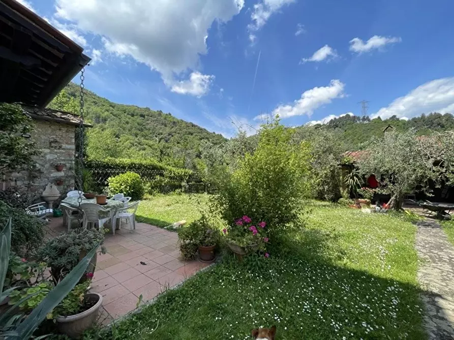 Immagine 3 di Rustico / casale in vendita  a Lucca