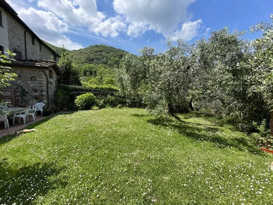 Immagine 38 di Rustico / casale in vendita  a Lucca