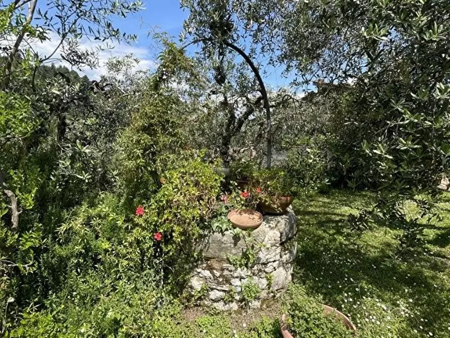Immagine 40 di Rustico / casale in vendita  a Lucca