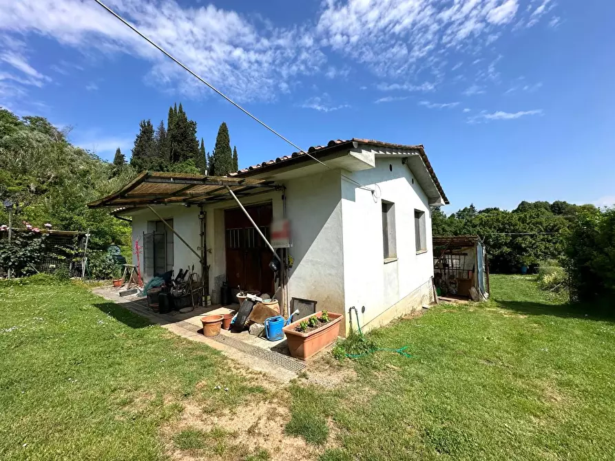 Immagine 19 di Casa colonica in vendita  a Lucca