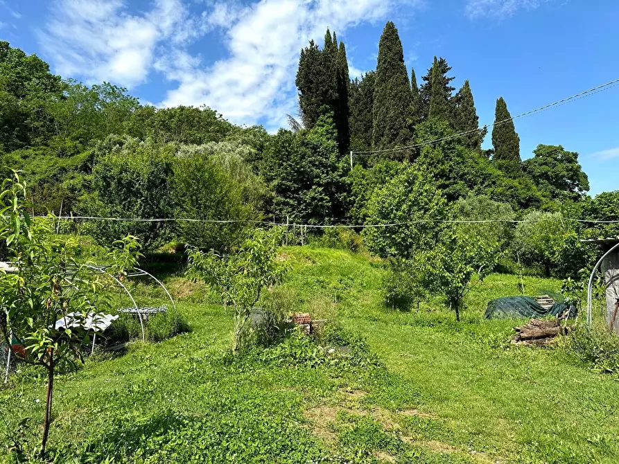 Immagine 17 di Casa colonica in vendita  a Lucca