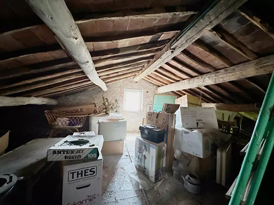 Immagine 15 di Casa colonica in vendita  a Lucca