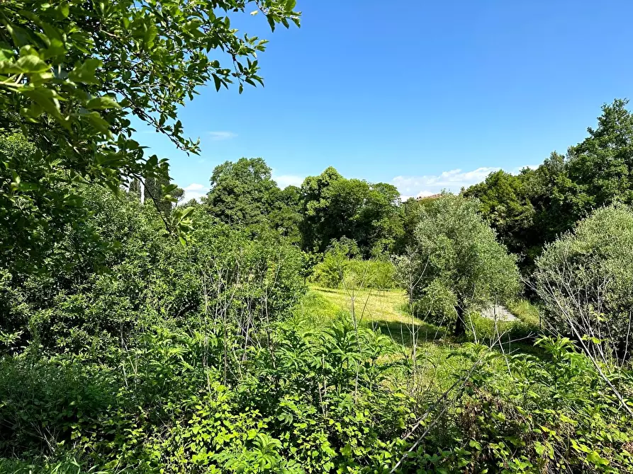 Immagine 18 di Casa colonica in vendita  a Lucca