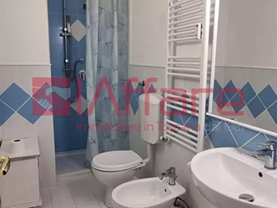 Immagine 21 di Appartamento in affitto  a Pontedera