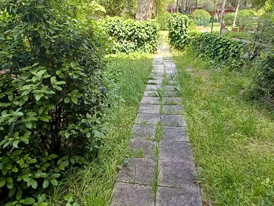 Immagine 2 di Appartamento in vendita  a Livorno