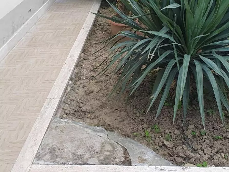 Immagine 32 di Terratetto in vendita  a Empoli