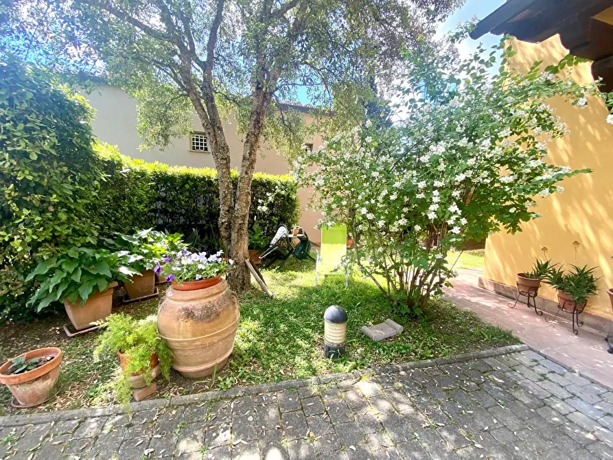 Immagine 29 di Terratetto in vendita  a Castelfiorentino