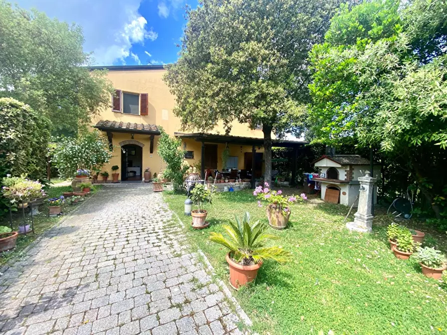 Immagine 32 di Terratetto in vendita  a Castelfiorentino