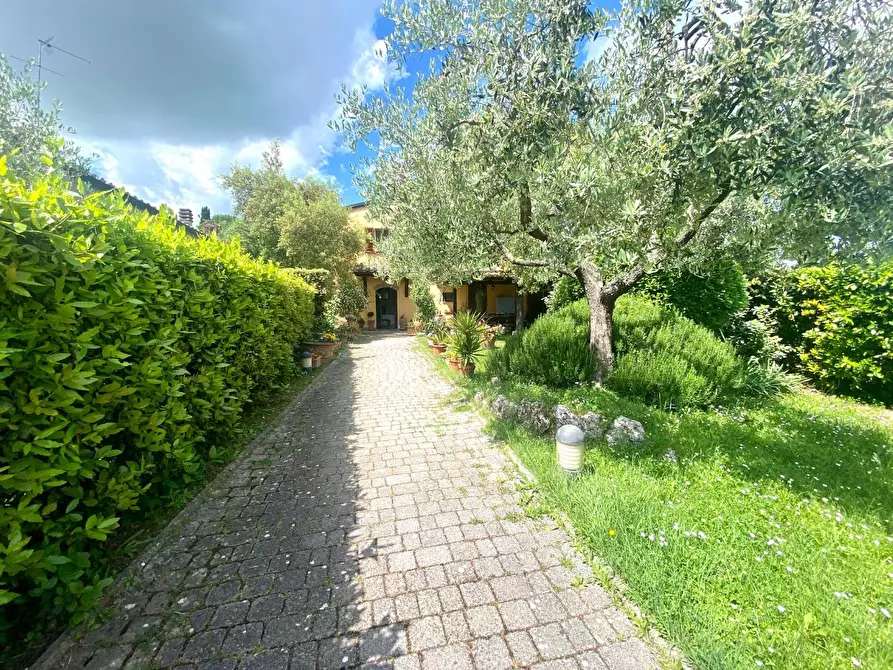 Immagine 31 di Terratetto in vendita  a Castelfiorentino