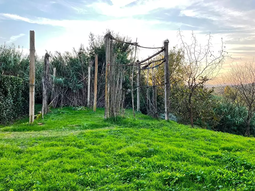 Immagine 5 di Casa colonica in vendita  a Cerreto Guidi