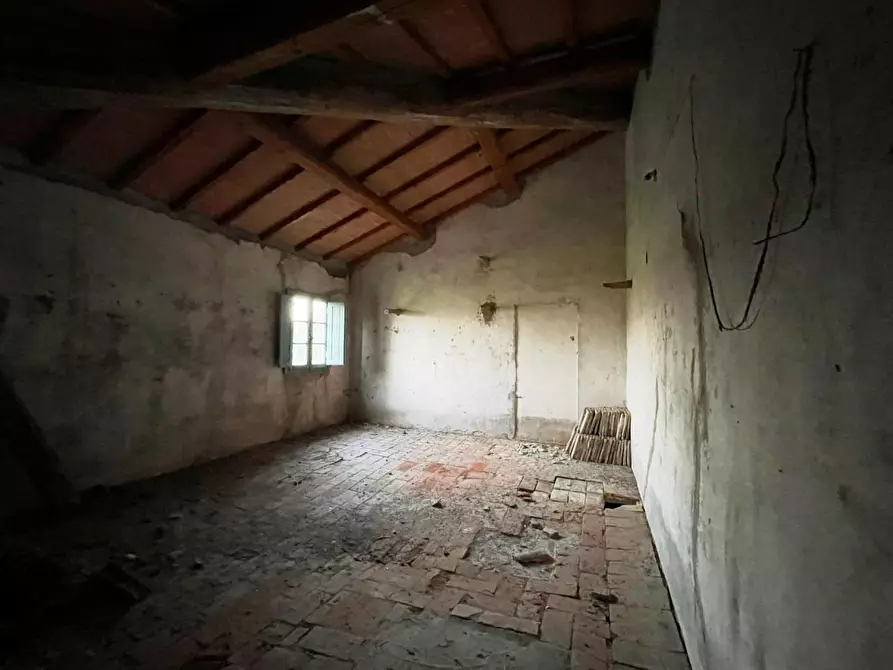 Immagine 11 di Casa colonica in vendita  a Cerreto Guidi