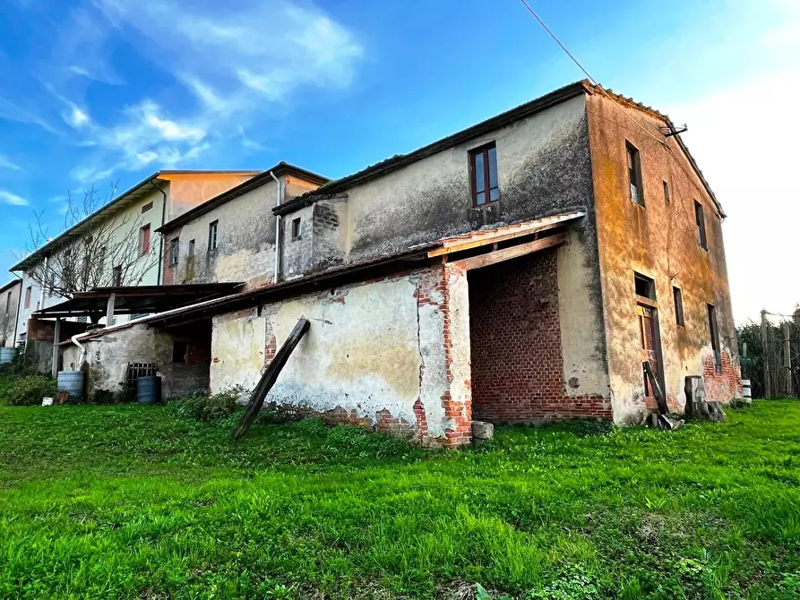 Immagine 21 di Casa colonica in vendita  a Cerreto Guidi