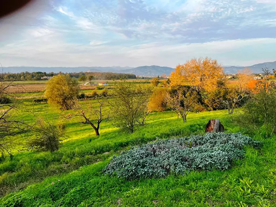Immagine 17 di Casa colonica in vendita  a Cerreto Guidi