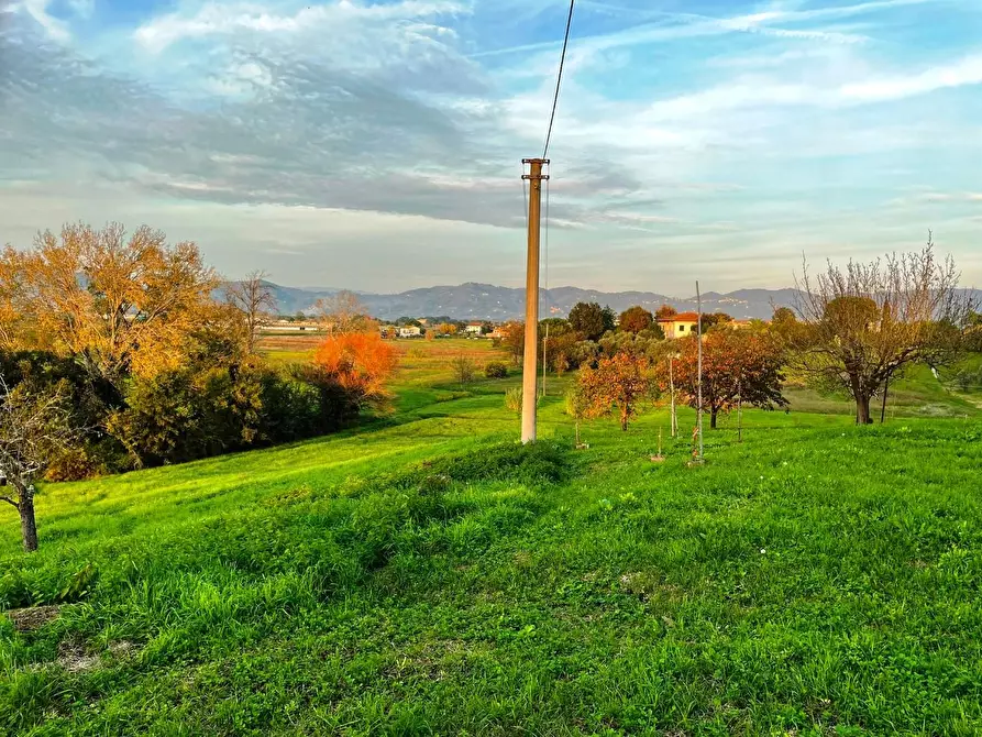 Immagine 24 di Casa colonica in vendita  a Cerreto Guidi