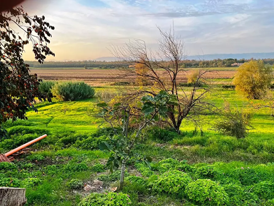 Immagine 16 di Casa colonica in vendita  a Cerreto Guidi