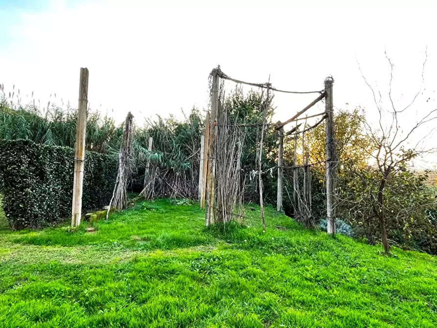 Immagine 26 di Casa colonica in vendita  a Cerreto Guidi