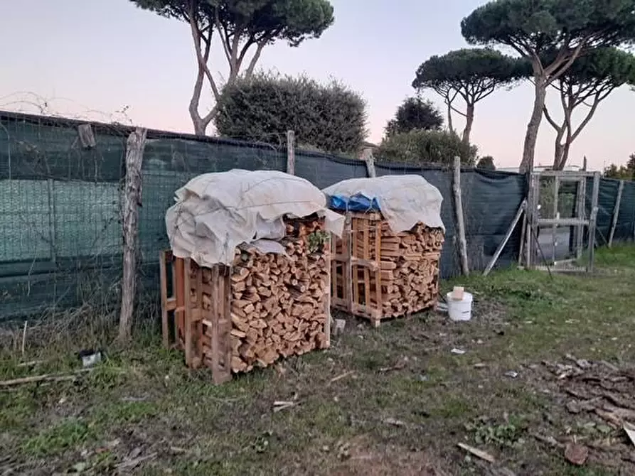 Immagine 4 di Villa in vendita  a Forte Dei Marmi