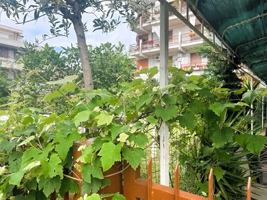 Immagine 4 di Magazzino in vendita  a Massa