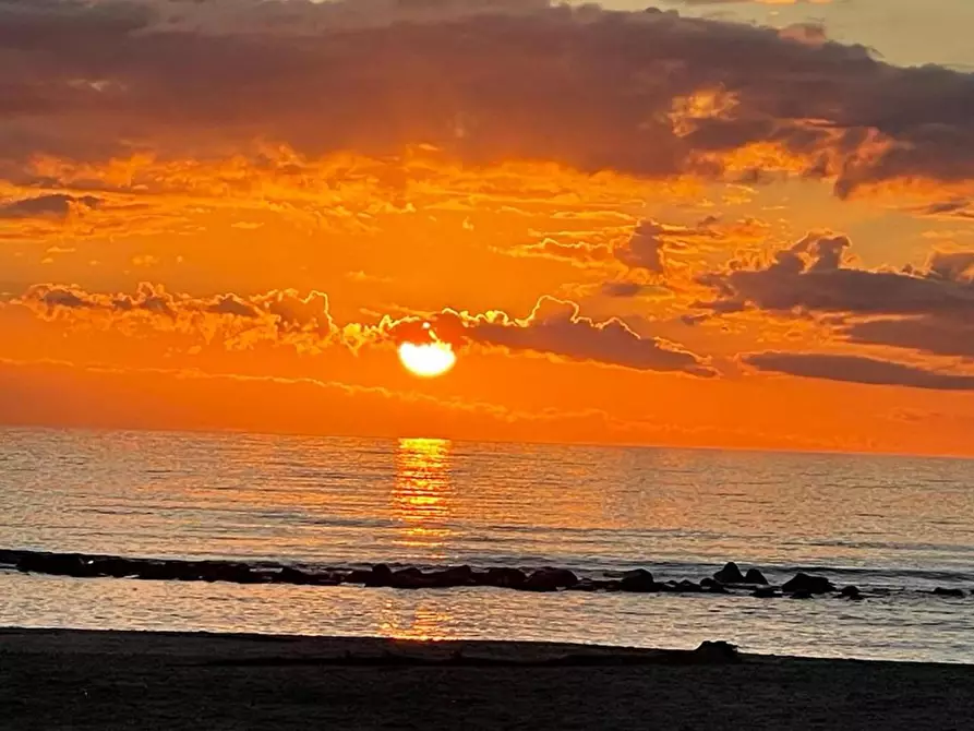 Immagine 14 di Magazzino in vendita  a Massa