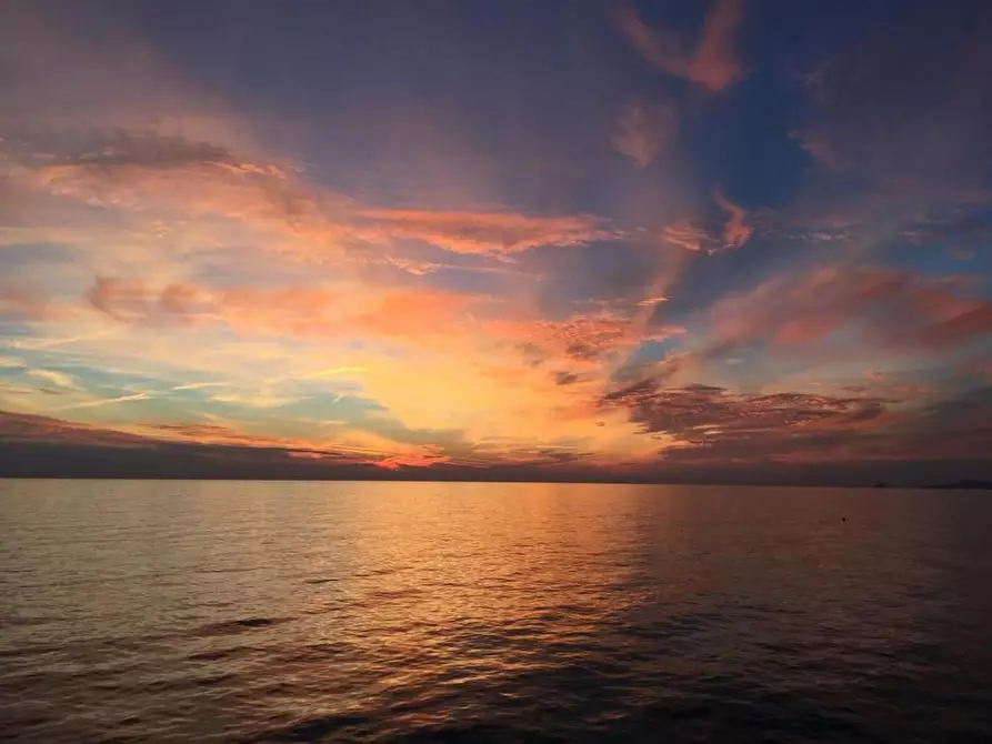 Immagine 12 di Magazzino in vendita  a Massa