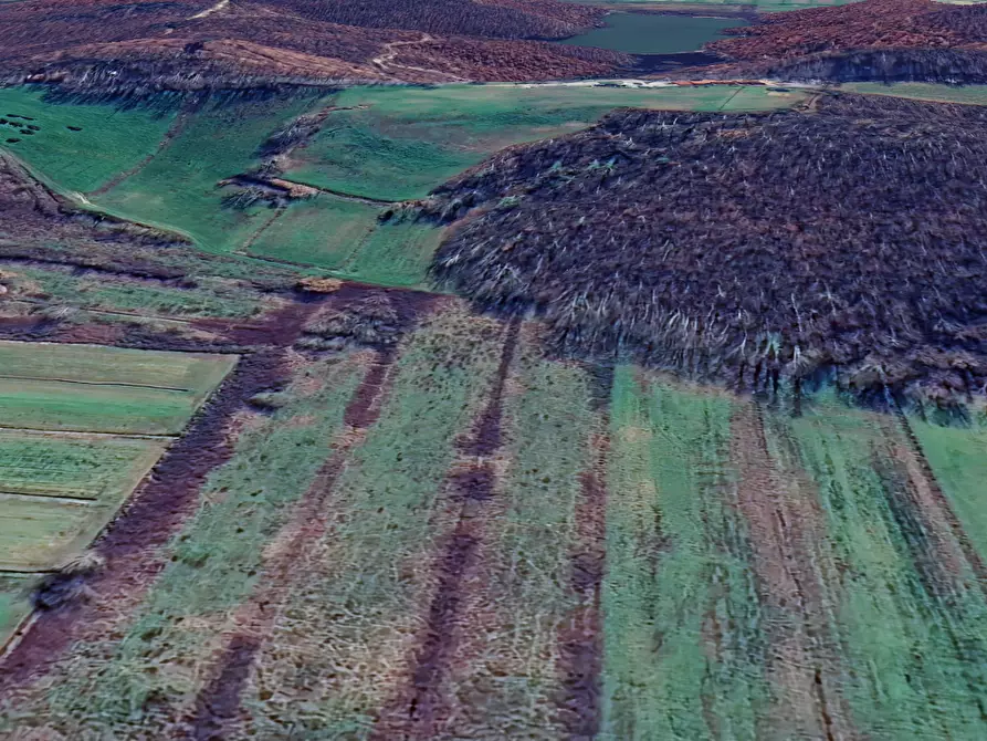 Immagine 1 di Terreno agricolo in vendita  a Cerreto Guidi