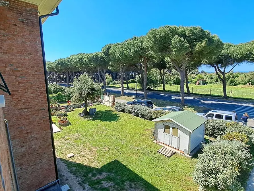 Immagine 18 di Mansarda in vendita  a Rosignano Marittimo