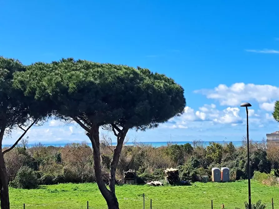 Immagine 2 di Mansarda in vendita  a Rosignano Marittimo