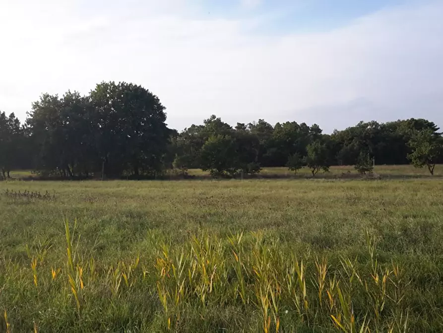 Immagine 1 di Terreno agricolo in vendita  a Castiglione Del Lago