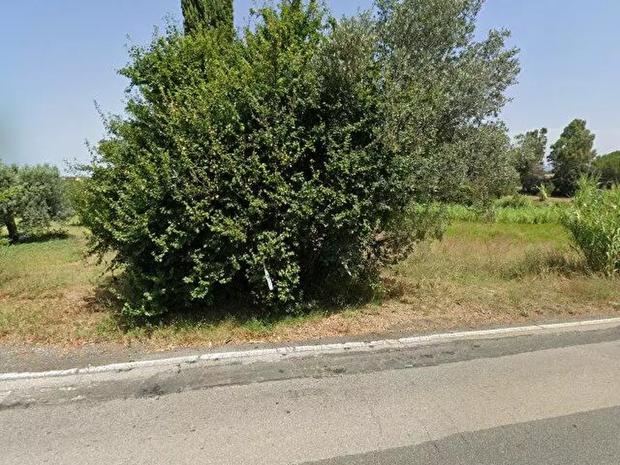 Immagine 1 di Terreno residenziale in vendita  a Cecina