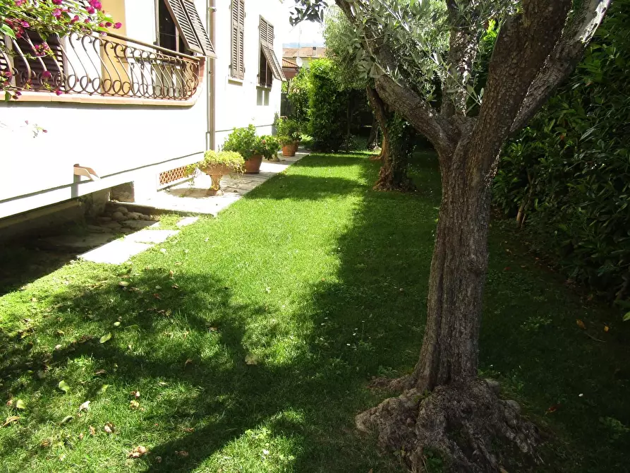 Immagine 4 di Casa indipendente in vendita  a Carrara