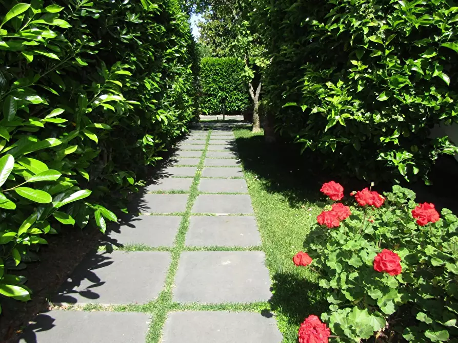 Immagine 6 di Casa indipendente in vendita  a Carrara