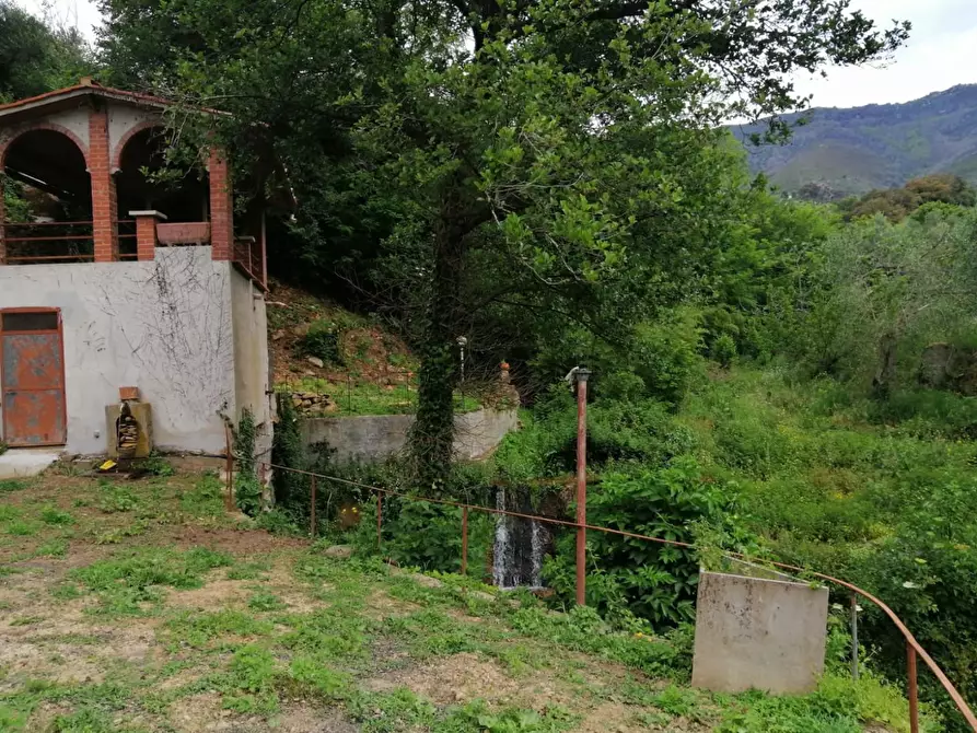 Immagine 16 di Villa in vendita  a Calci