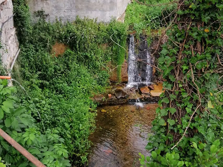 Immagine 6 di Villa in vendita  a Calci