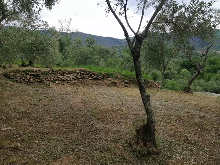 Immagine 12 di Villa in vendita  a Calci