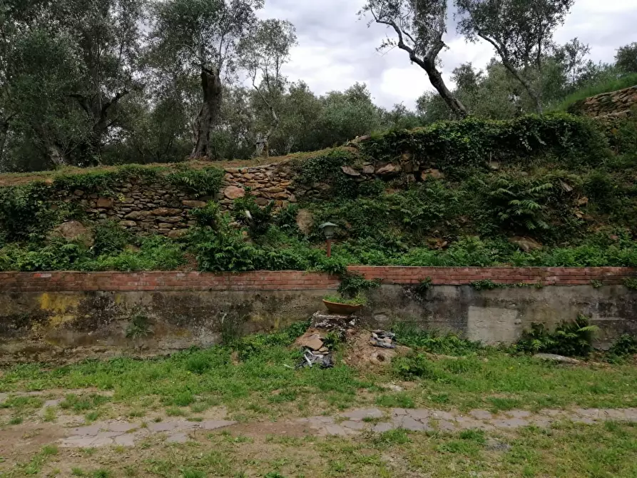 Immagine 11 di Villa in vendita  a Calci